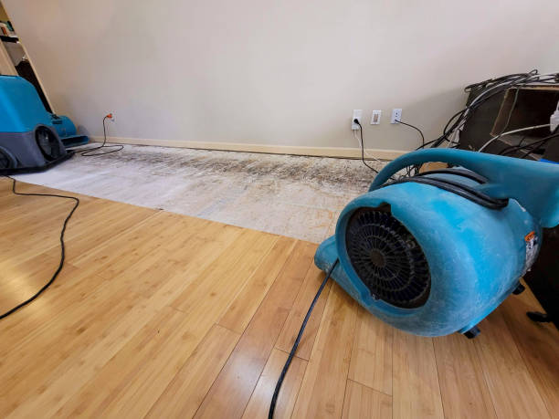 Professional Basement Flood Cleanup technician working in Suffern, NY